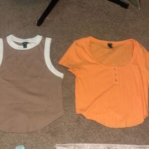 wild fable fall color shirts